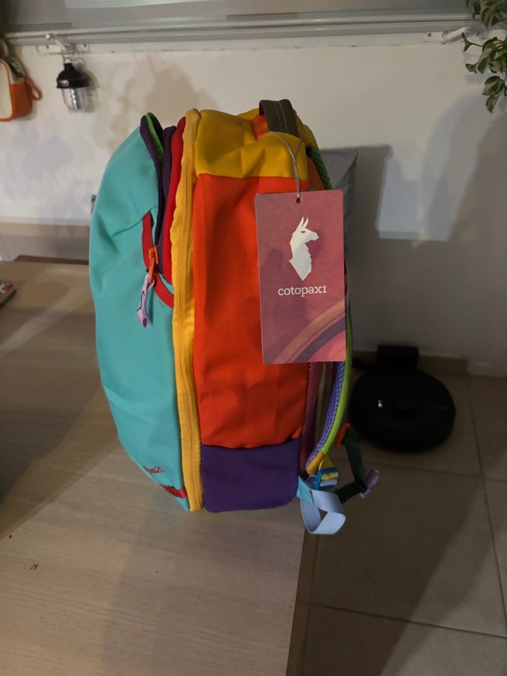 cotopaxi Allpa20 Backpack in Turquoise, Yellow, Red, Purple - Picture 4 of 5